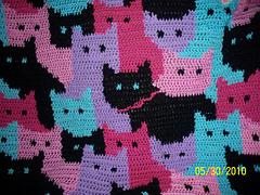 Cats Afghan