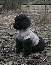 Perfect Fit Dog & Cat Sweater (Pattern Generator, Top-Down)