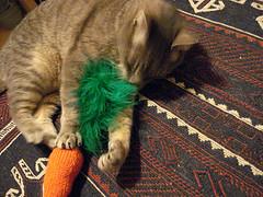 carrot top cat toy